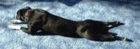 Shadow